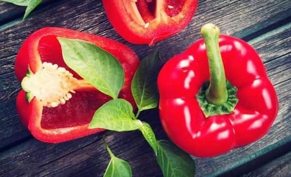 تصویر 1 از معرفی فلفل دلمه قرمز + بهترین قیمت خرید